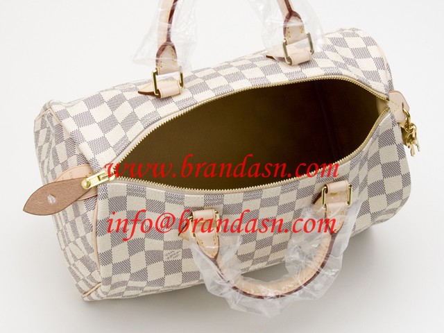 CEBg LOUISVUITTON _~GEAY[@Xs[fB30 N41533